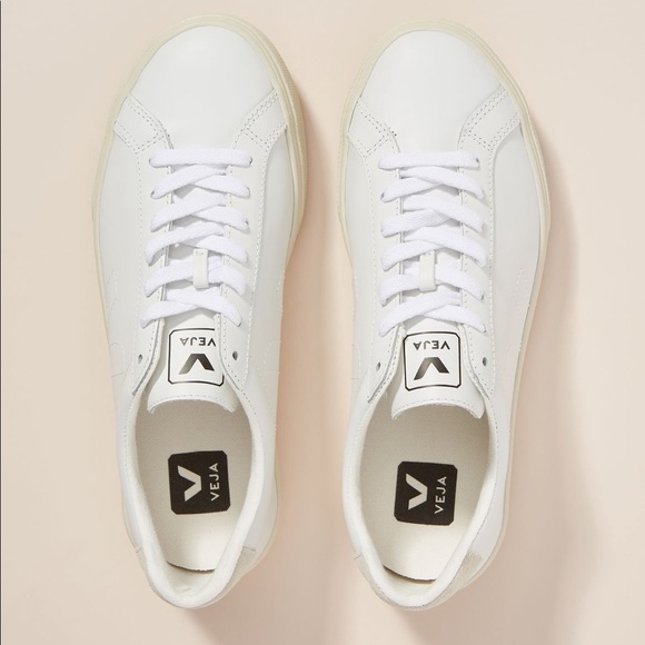 Veja Shoes - Veja leather sneakers STILL IN BOX